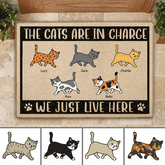 Funny The Cats Are In Charge Personalized Doormat DM-PT1350