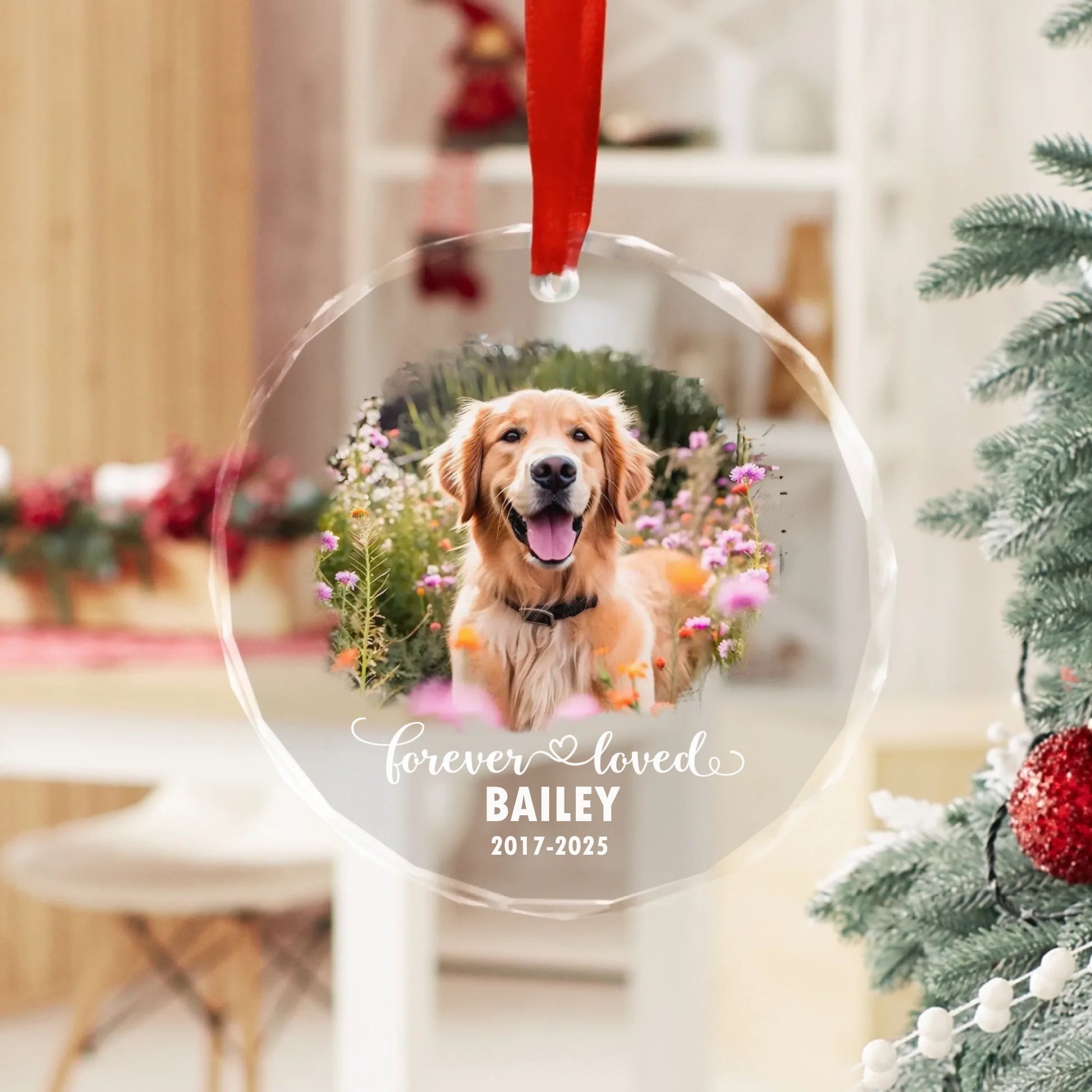 66b8efed62336_large