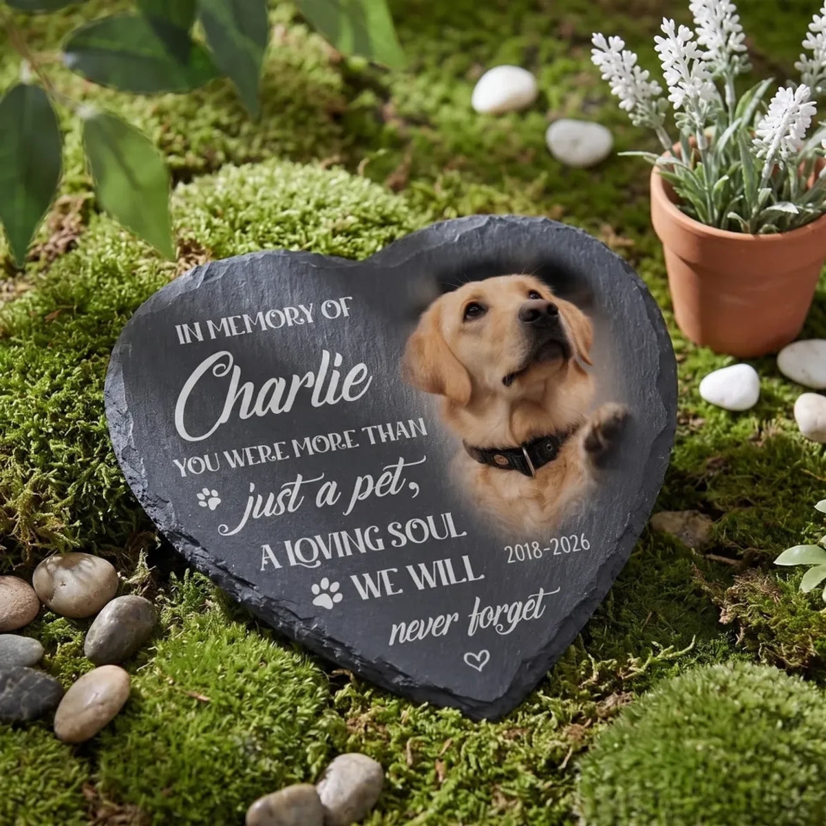 260828_NN7tL34AeswxMvtq_large